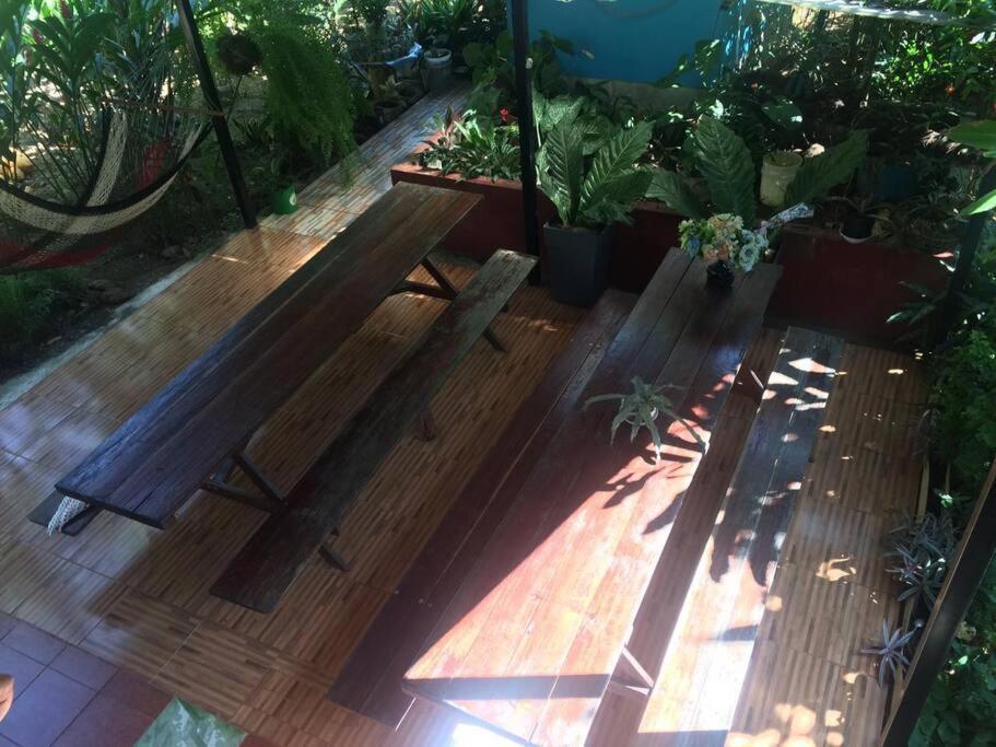 Hospedaje Valencia Osa, Cr Potrero  Ngoại thất bức ảnh