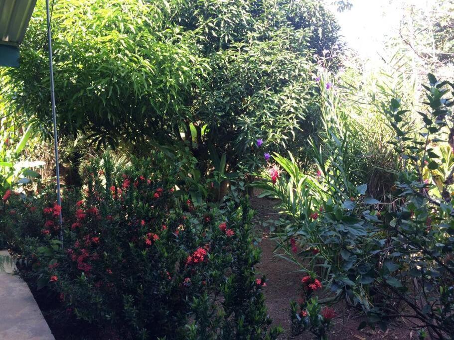 Hospedaje Valencia Osa, Cr Potrero  Ngoại thất bức ảnh