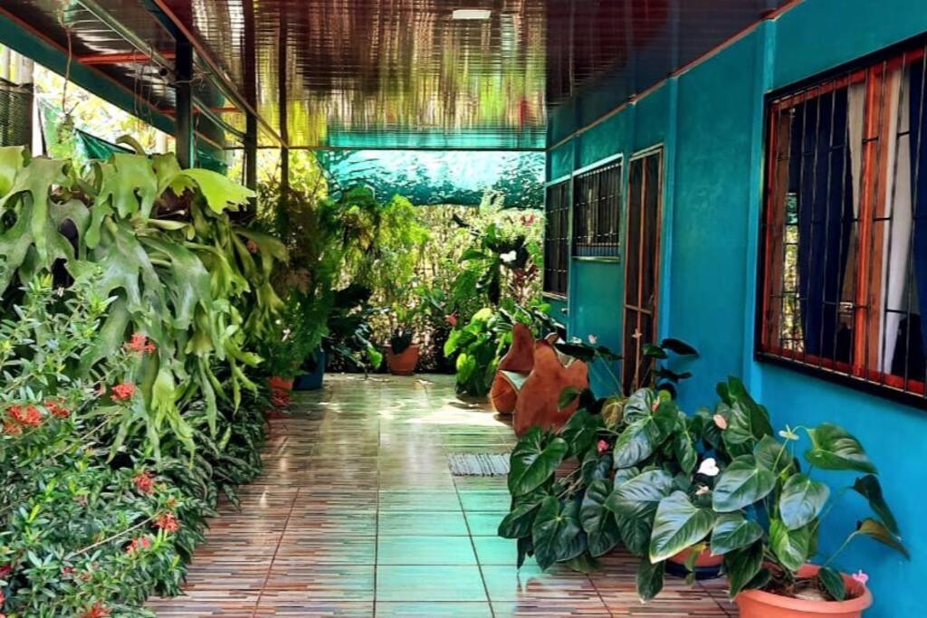 Hospedaje Valencia Osa, Cr Potrero  Ngoại thất bức ảnh