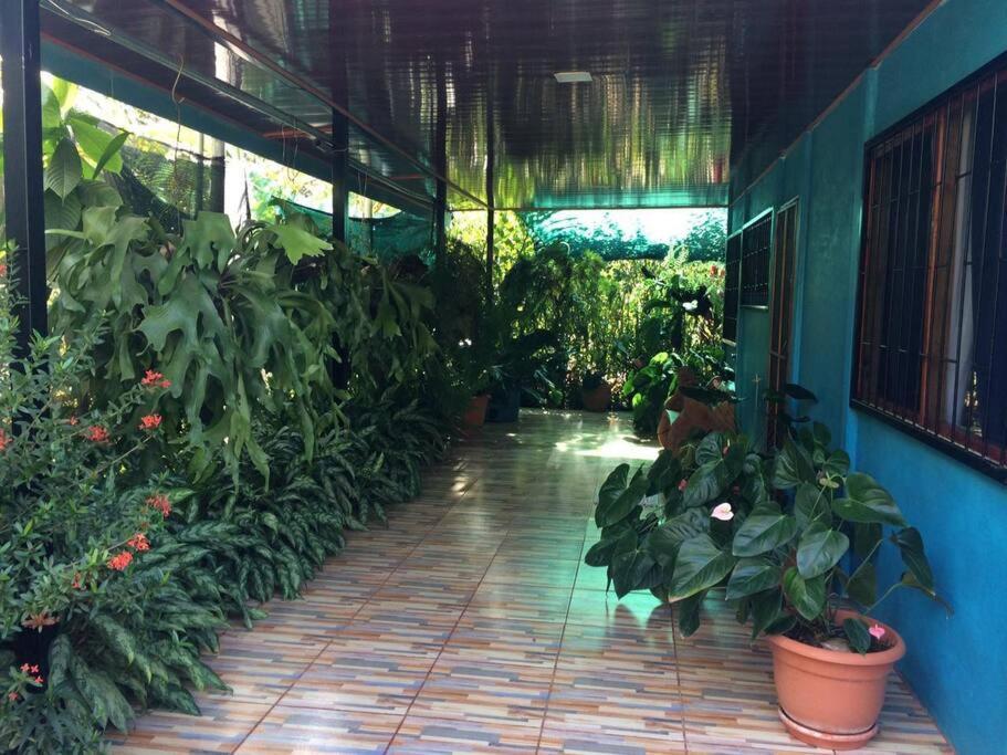 Hospedaje Valencia Osa, Cr Potrero  Ngoại thất bức ảnh